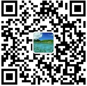 手機（jī）二維碼